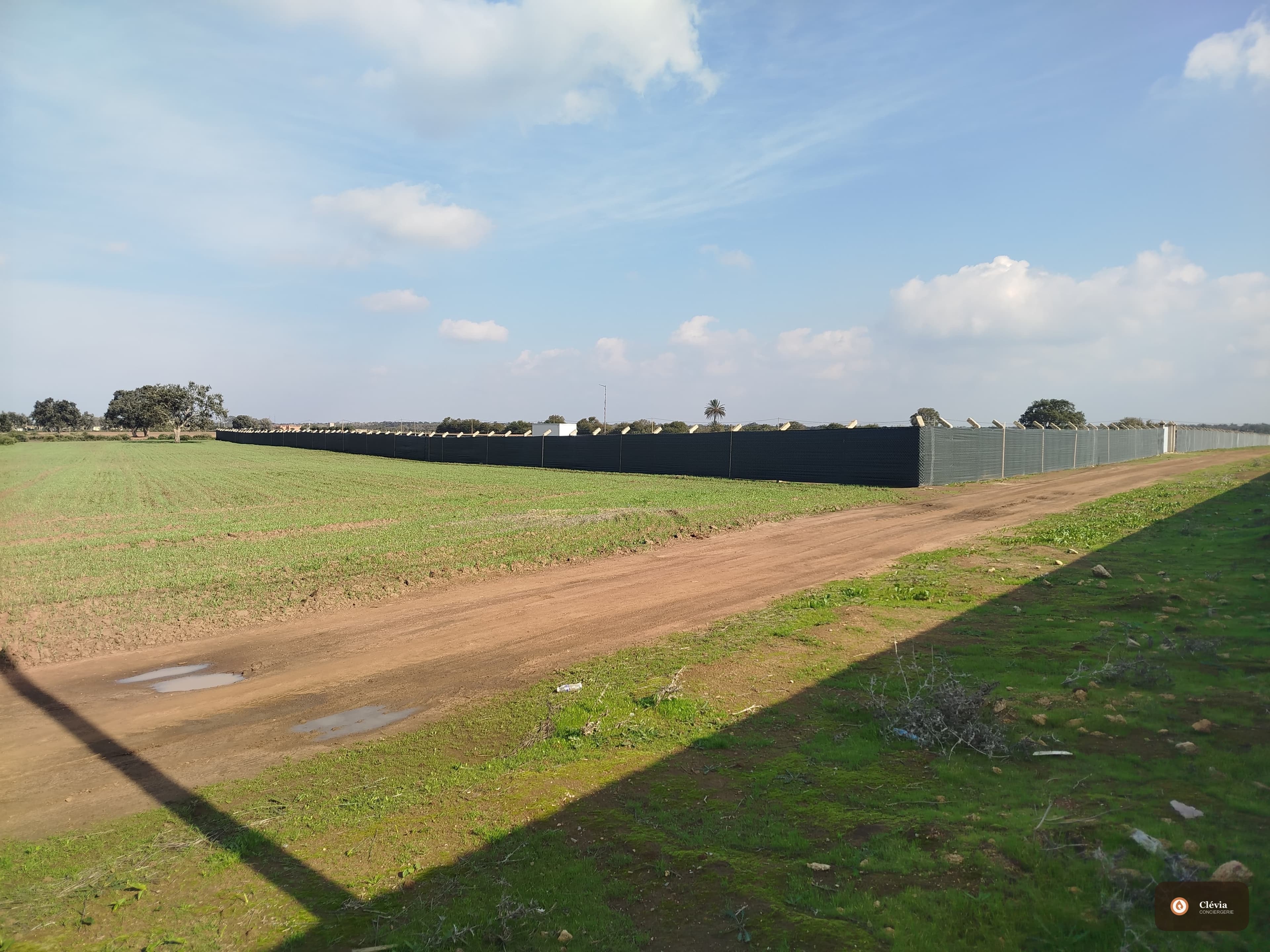 1 hectare à vendre Mohammedia-benslimane