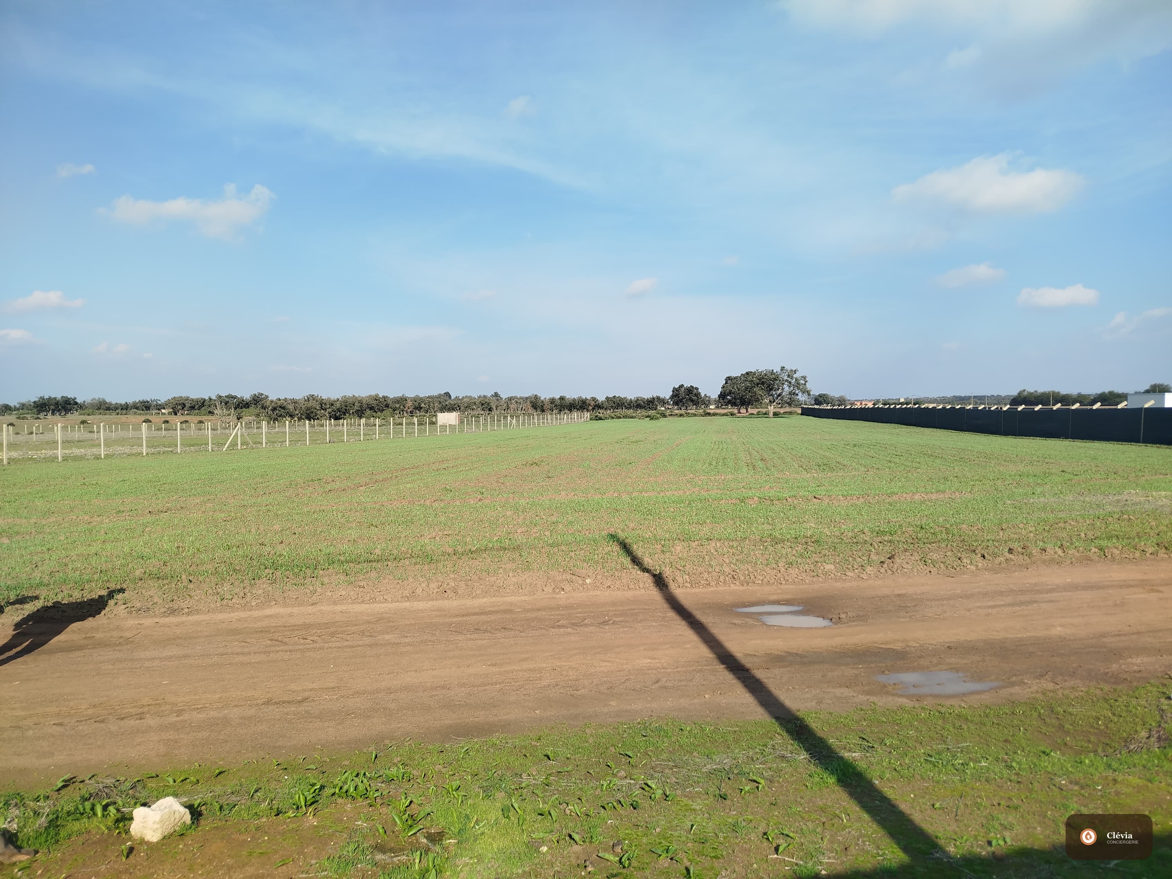 1 hectare à vendre Mohammedia-benslimane — photo 2