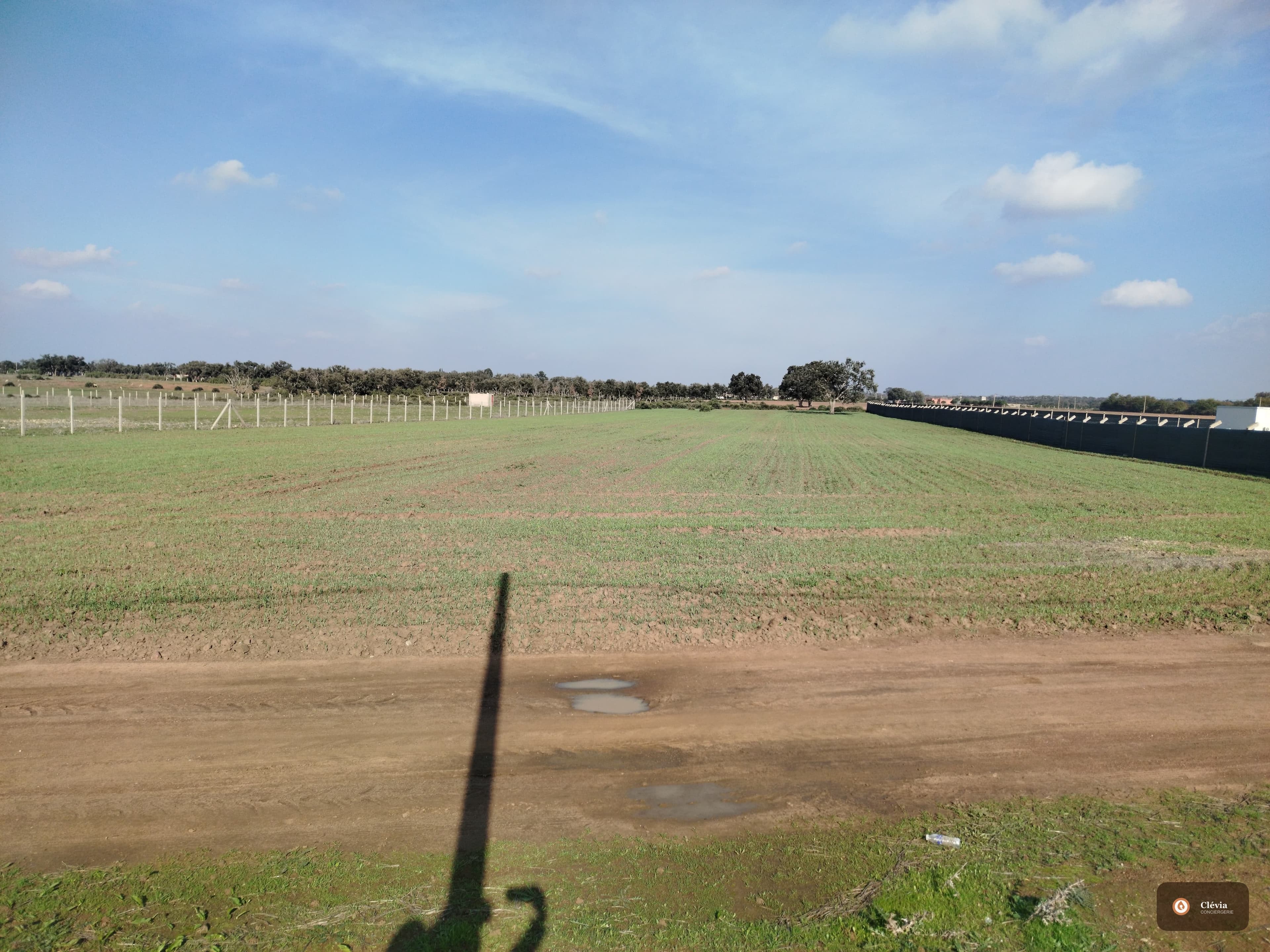 1 hectare à vendre Mohammedia-benslimane — photo 3